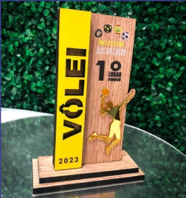 TROFEU DE VOLEI   MIAMI