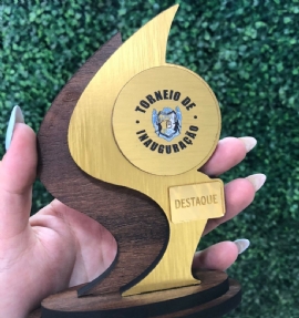 TROFEU DE FUTEVOLEI   LUISIANIA