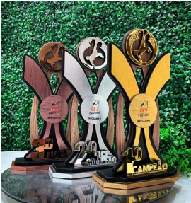 TROFEU DE FUTEVOLEI   ALASKA