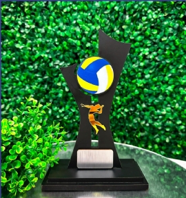 TROFEU DE VOLEI   ESPANHA