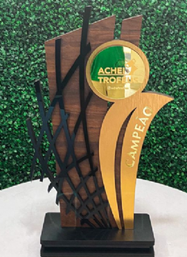 TROFEU DE HOMENAGEM 01