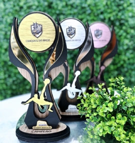 TROFEU DE FUTEVOLEI   PENSILVANIA