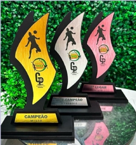 TROFEU DE FUTEVOLEI   MINEAPOLIS