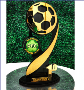 TROFEU DE FUTEBOL   EQUADOR