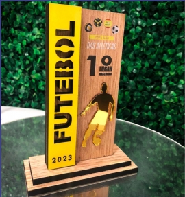 TROFEU DE FUTEBOL   SANTOS